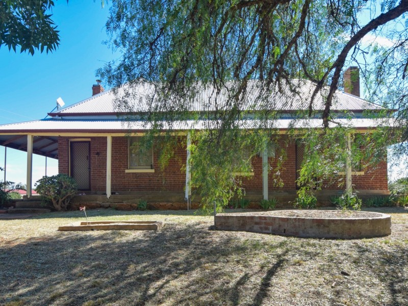 172 Jasprizza Lane, Young NSW 2594