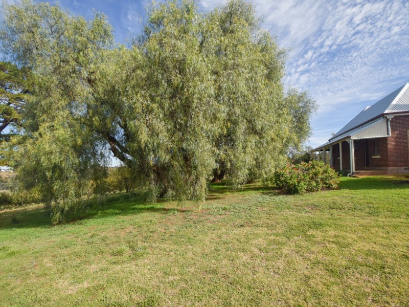 172 Jasprizza Lane, Young NSW 2594