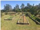 172 Jasprizza Lane, Young NSW 2594