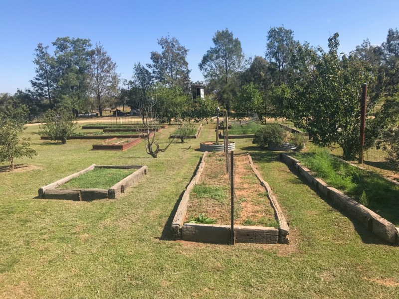 172 Jasprizza Lane, Young NSW 2594