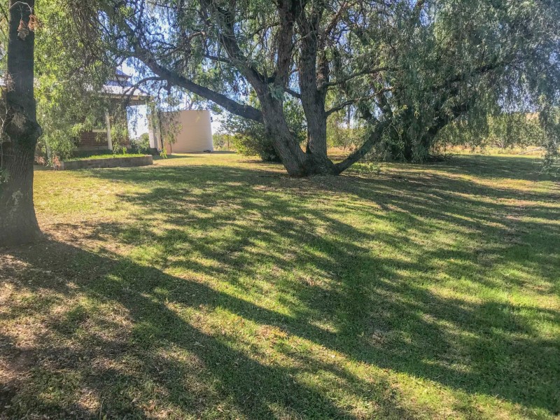 172 Jasprizza Lane, Young NSW 2594