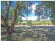 172 Jasprizza Lane, Young NSW 2594
