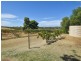 172 Jasprizza Lane, Young NSW 2594
