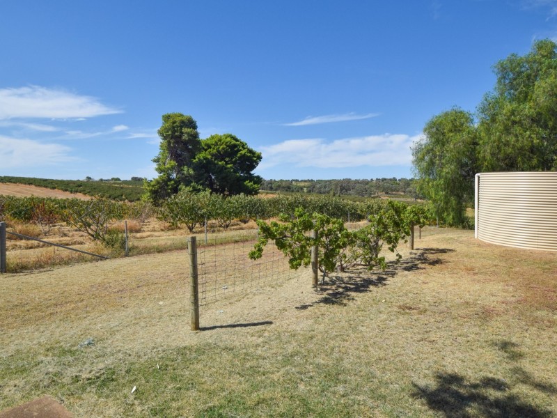 172 Jasprizza Lane, Young NSW 2594
