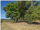 172 Jasprizza Lane, Young NSW 2594