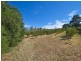 172 Jasprizza Lane, Young NSW 2594