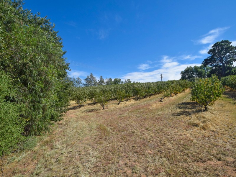 172 Jasprizza Lane, Young NSW 2594