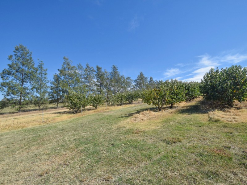 172 Jasprizza Lane, Young NSW 2594