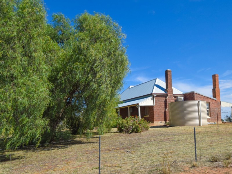 172 Jasprizza Lane, Young NSW 2594