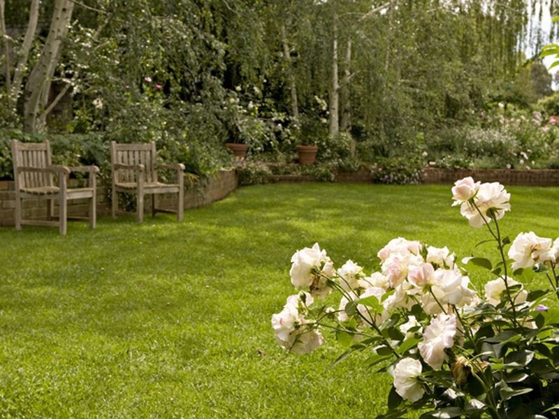 LYNNLEE  4 Taylor Road, Young NSW 2594