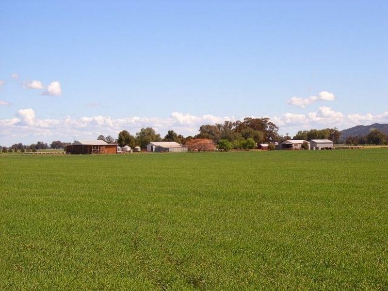 Fairlight 110 Barries Lane Thuddungra, Young NSW 2594