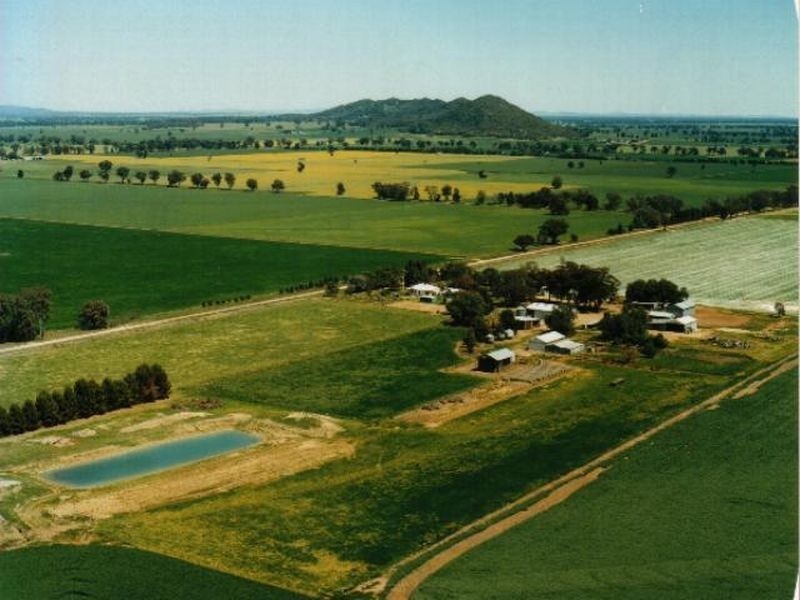 Fairlight 110 Barries Lane Thuddungra, Young NSW 2594