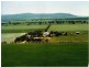 Fairlight 110 Barries Lane Thuddungra, Young NSW 2594