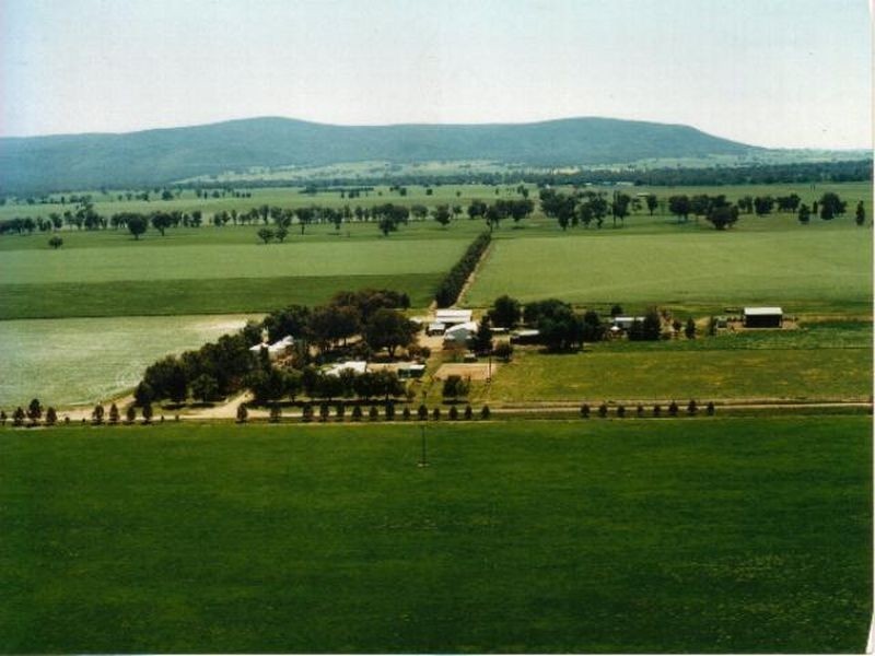 Fairlight 110 Barries Lane Thuddungra, Young NSW 2594