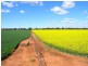 Fairlight 110 Barries Lane Thuddungra, Young NSW 2594