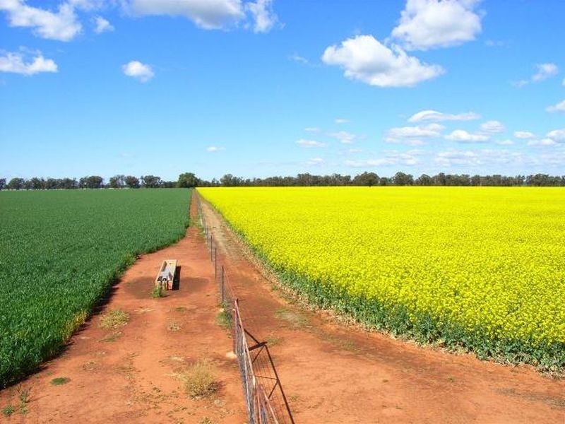 Fairlight 110 Barries Lane Thuddungra, Young NSW 2594