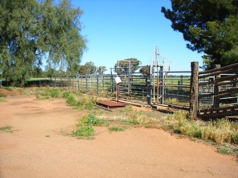 Fairlight 110 Barries Lane Thuddungra, Young NSW 2594