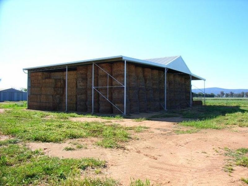 Fairlight 110 Barries Lane Thuddungra, Young NSW 2594