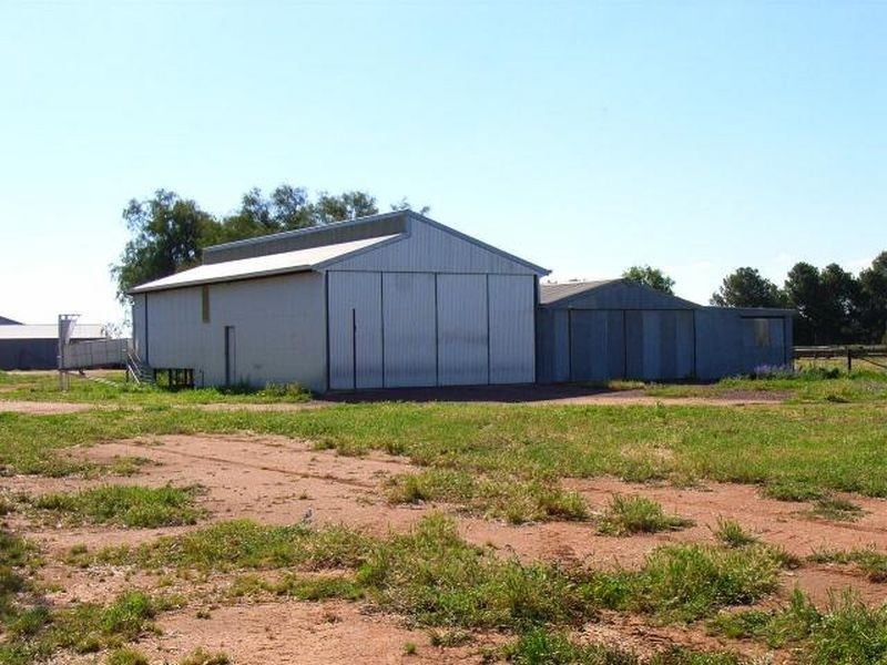 Fairlight 110 Barries Lane Thuddungra, Young NSW 2594