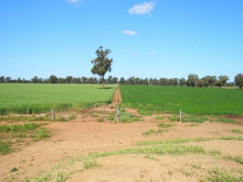 Fairlight 110 Barries Lane Thuddungra, Young NSW 2594