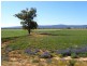 Fairlight 110 Barries Lane Thuddungra, Young NSW 2594