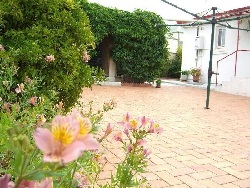 54 Caple Street, Young NSW 2594