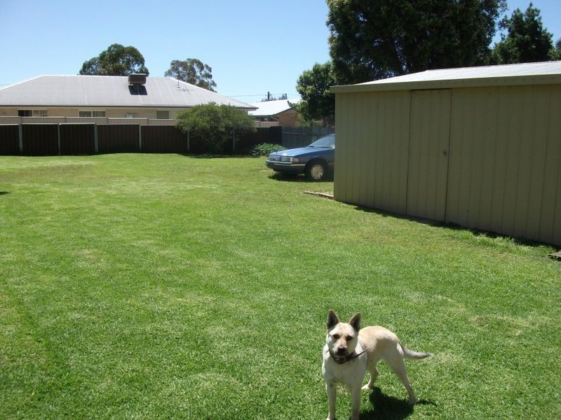 7 Willawong Street, Young NSW 2594