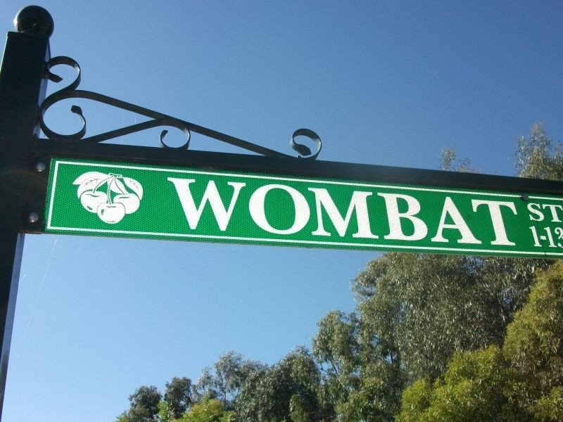 50 Wombat Street, Young NSW 2594