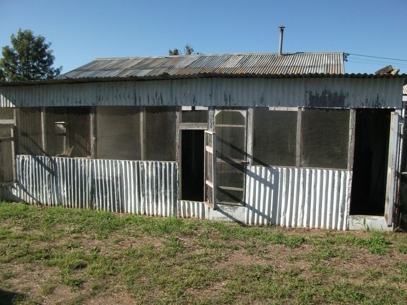 50 Wombat Street, Young NSW 2594