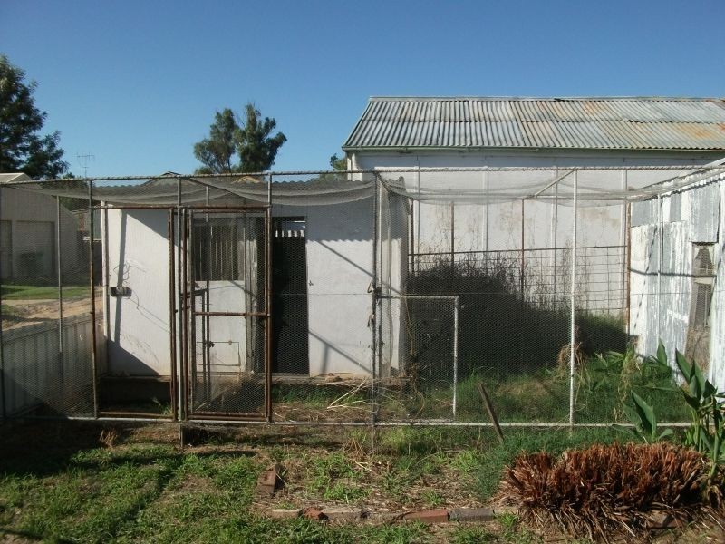 50 Wombat Street, Young NSW 2594