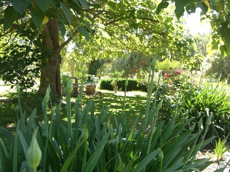 28 Pestell’S Lane, Young NSW 2594