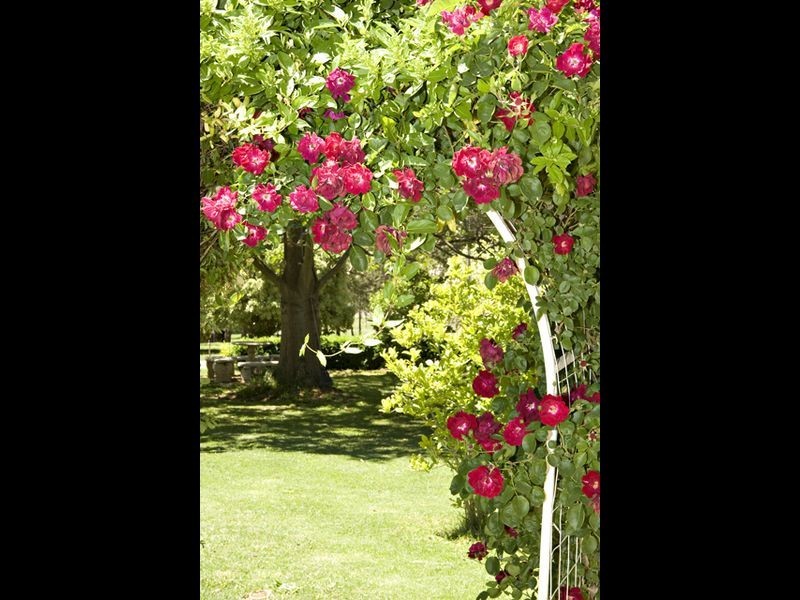 28 Pestell’S Lane, Young NSW 2594