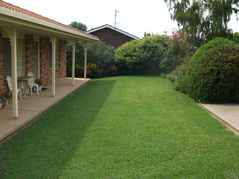 11 Back Creek Road, Young NSW 2594