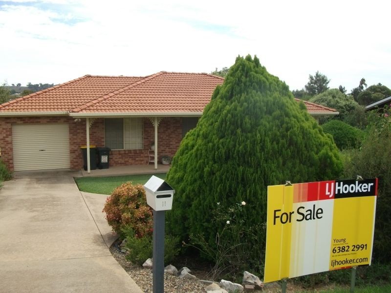11 Back Creek Road, Young NSW 2594