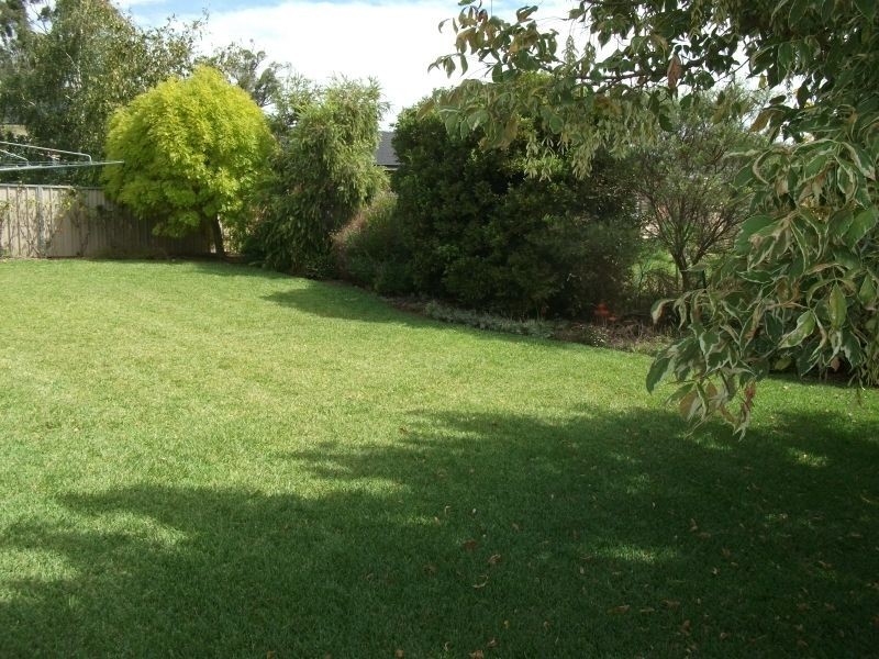 11 Back Creek Road, Young NSW 2594