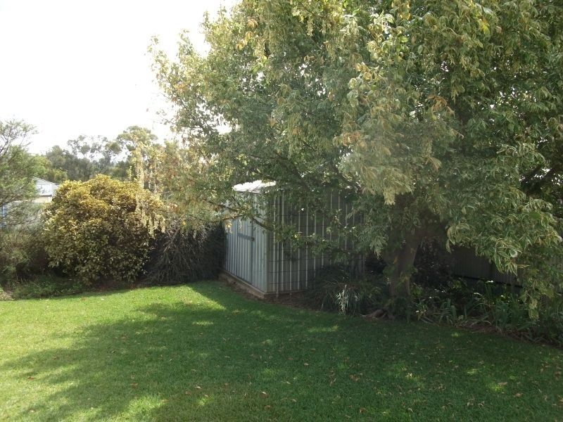 11 Back Creek Road, Young NSW 2594