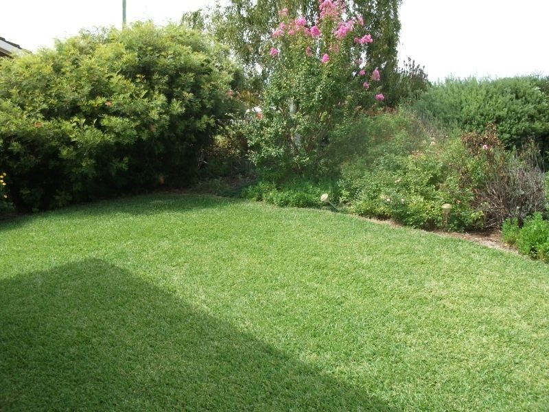 11 Back Creek Road, Young NSW 2594