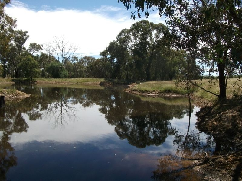987 Scenic Rd, Young NSW 2594