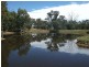 987 Scenic Rd, Young NSW 2594