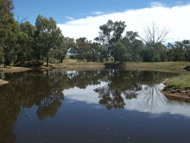 987 Scenic Rd, Young NSW 2594