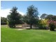 987 Scenic Rd, Young NSW 2594