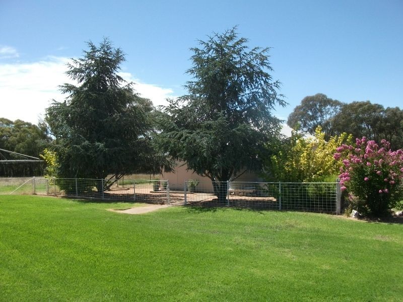 987 Scenic Rd, Young NSW 2594