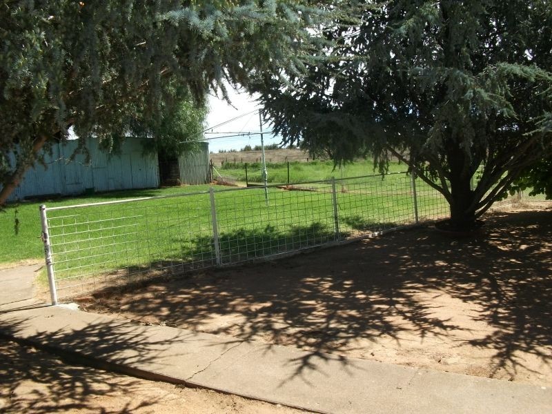 987 Scenic Rd, Young NSW 2594