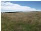 987 Scenic Rd, Young NSW 2594