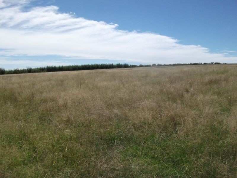 987 Scenic Rd, Young NSW 2594