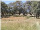 987 Scenic Rd, Young NSW 2594