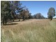 987 Scenic Rd, Young NSW 2594