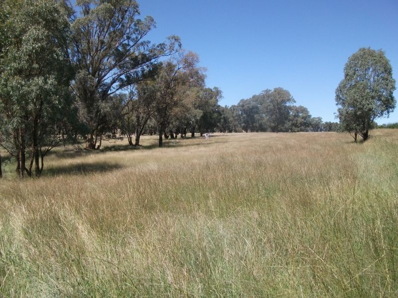 987 Scenic Rd, Young NSW 2594