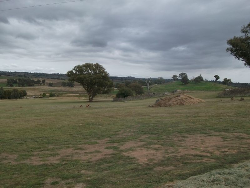 470 Chillingworks Rd, Young NSW 2594