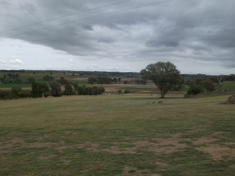 470 Chillingworks Rd, Young NSW 2594